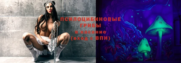 mdpv Белокуриха