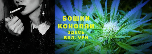 ГАЛЛЮЦИНОГЕННЫЕ ГРИБЫ Белоозёрский