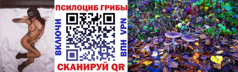 Псилоцибиновые грибы мицелий  сайты даркнета телеграм  Видное  ОМГ ОМГ ТОР 